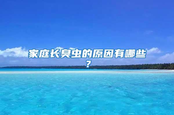 家庭長臭蟲的原因有哪些？