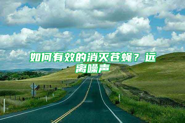 如何有效的消滅蒼蠅？遠(yuǎn)離噪聲
