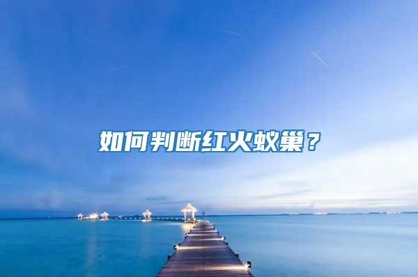 如何判斷紅火蟻巢？