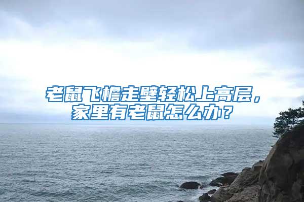 老鼠飛檐走壁輕松上高層，家里有老鼠怎么辦？
