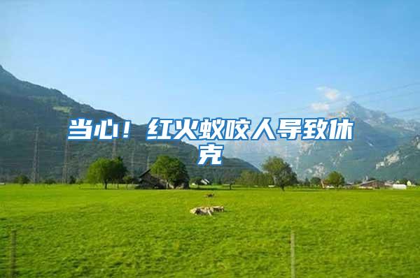 當心！紅火蟻咬人導致休克