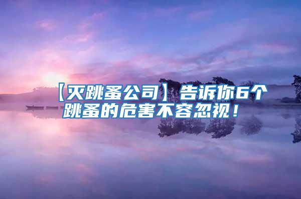 【滅跳蚤公司】告訴你6個跳蚤的危害不容忽視！