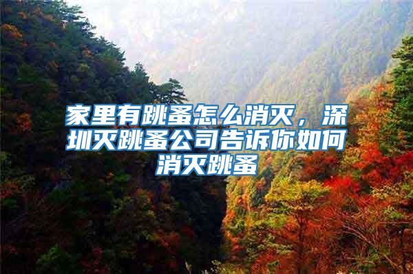 家里有跳蚤怎么消滅，深圳滅跳蚤公司告訴你如何消滅跳蚤