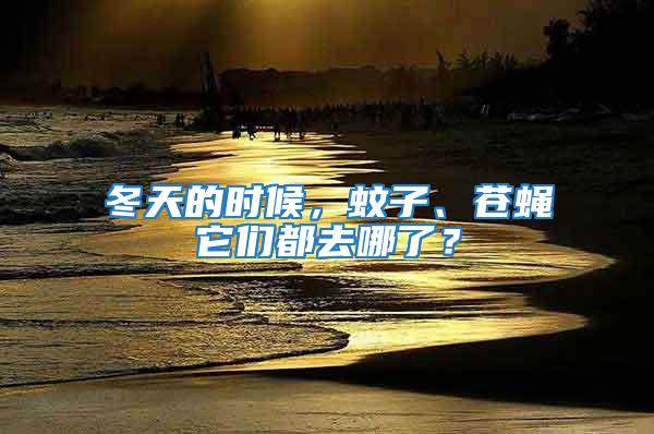 冬天的時(shí)候，蚊子、蒼蠅它們都去哪了？