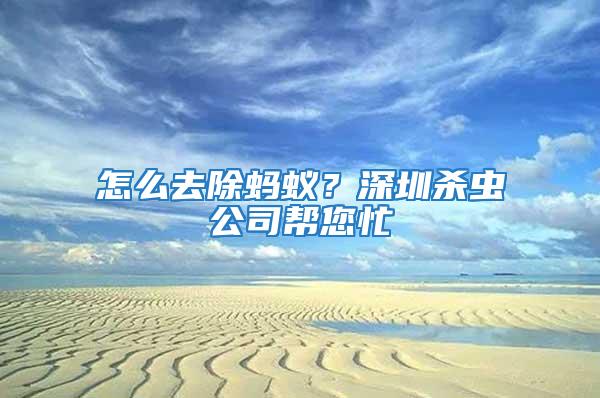 怎么去除螞蟻？深圳殺蟲公司幫您忙
