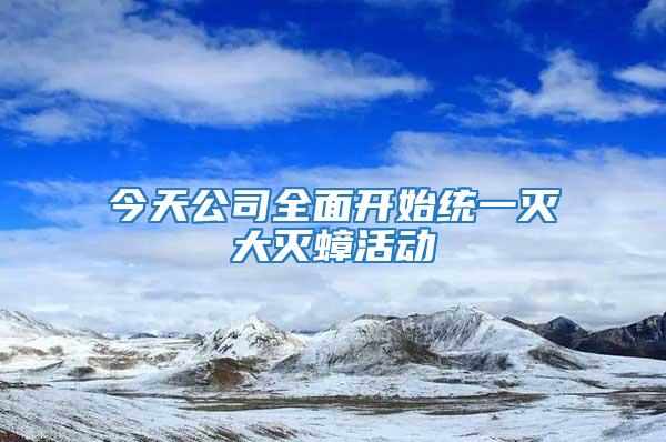 今天公司全面開始統(tǒng)一滅大滅蟑活動