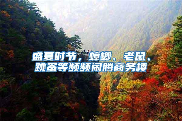 盛夏時節(jié)，蟑螂、老鼠、跳蚤等頻頻鬧騰商務(wù)樓