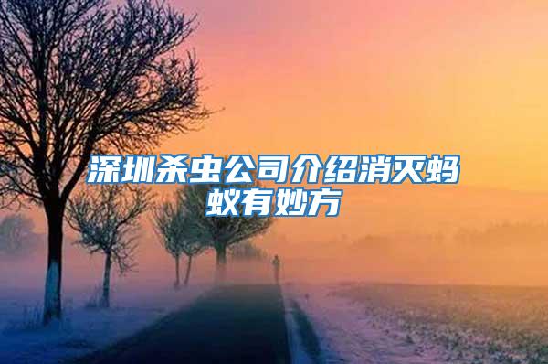 深圳殺蟲(chóng)公司介紹消滅螞蟻有妙方