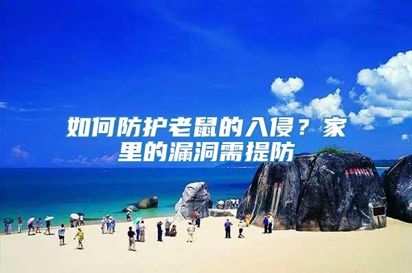 如何防護(hù)老鼠的入侵？家里的漏洞需提防