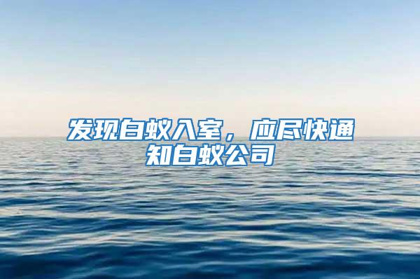 發現白蟻入室，應盡快通知白蟻公司