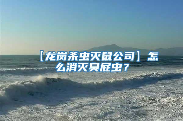 【龍崗殺蟲(chóng)滅鼠公司】怎么消滅臭屁蟲(chóng)？