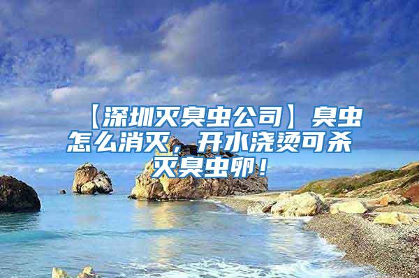 【深圳滅臭蟲公司】臭蟲怎么消滅，開水澆燙可殺滅臭蟲卵！