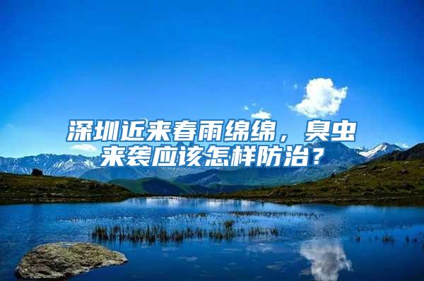 深圳近來春雨綿綿，臭蟲來襲應該怎樣防治？