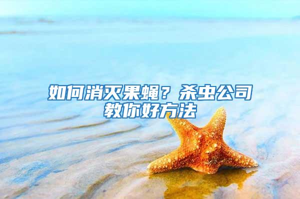 如何消滅果蠅？殺蟲公司教你好方法