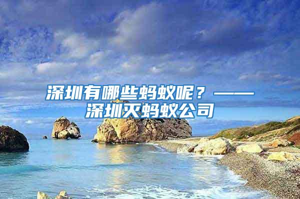 深圳有哪些螞蟻呢?——深圳滅螞蟻公司