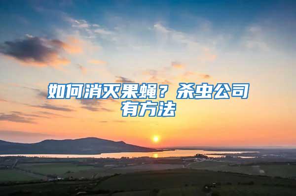 如何消滅果蠅？殺蟲(chóng)公司有方法