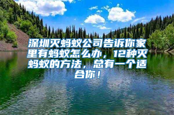 深圳滅螞蟻公司告訴你家里有螞蟻怎么辦，12種滅螞蟻的方法，總有一個(gè)適合你！