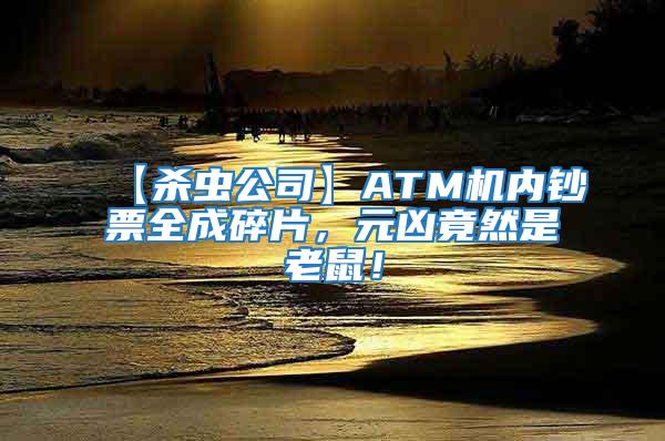 【殺蟲公司】ATM機(jī)內(nèi)鈔票全成碎片，元兇竟然是老鼠！