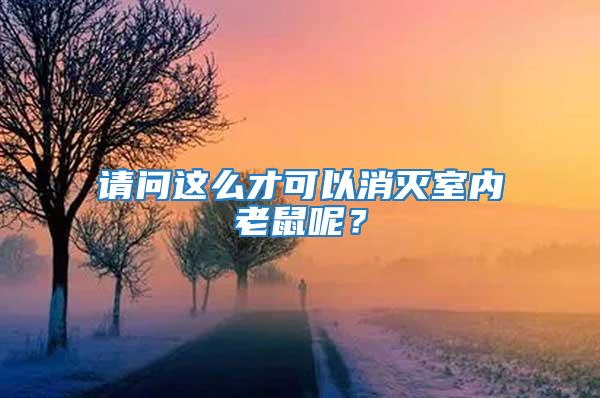 請問這么才可以消滅室內(nèi)老鼠呢？