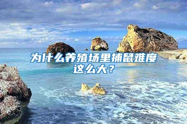 為什么養殖場里捕鼠難度這么大？