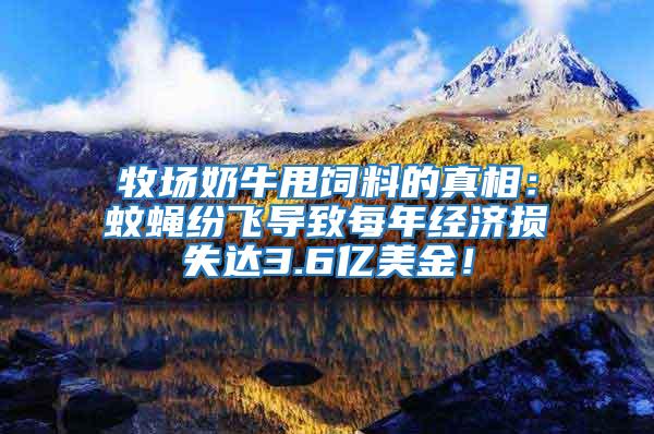 牧場奶牛甩飼料的真相：蚊蠅紛飛導致每年經濟損失達3.6億美金！
