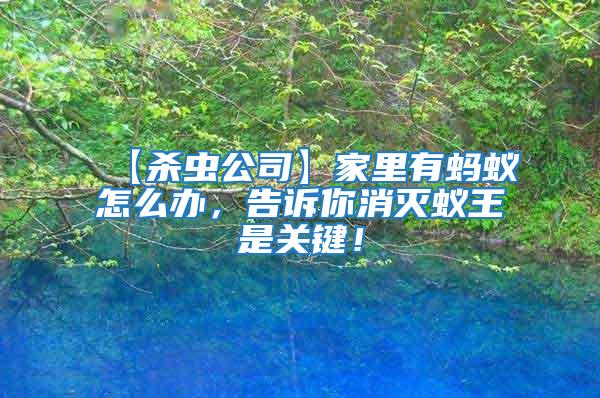 【殺蟲公司】家里有螞蟻怎么辦，告訴你消滅蟻王是關鍵！