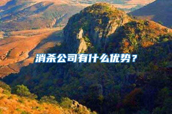 消殺公司有什么優勢？