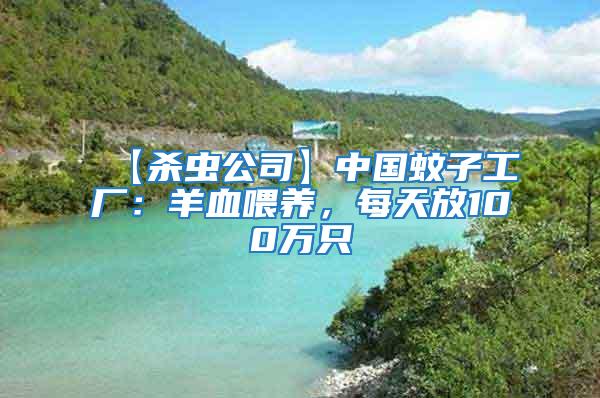 【殺蟲公司】中國蚊子工廠：羊血喂養(yǎng)，每天放100萬只