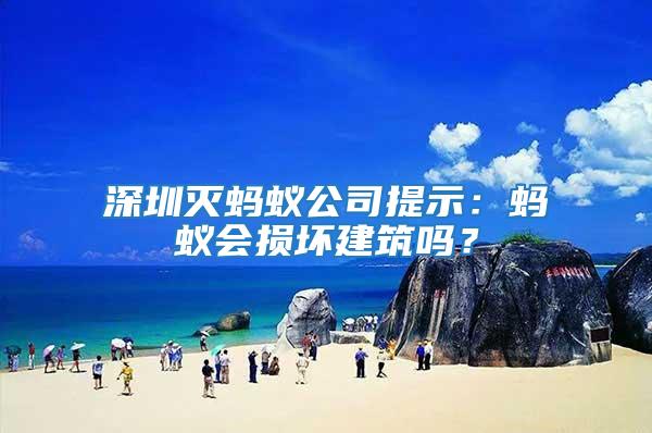 深圳滅螞蟻公司提示：螞蟻會(huì)損壞建筑嗎？