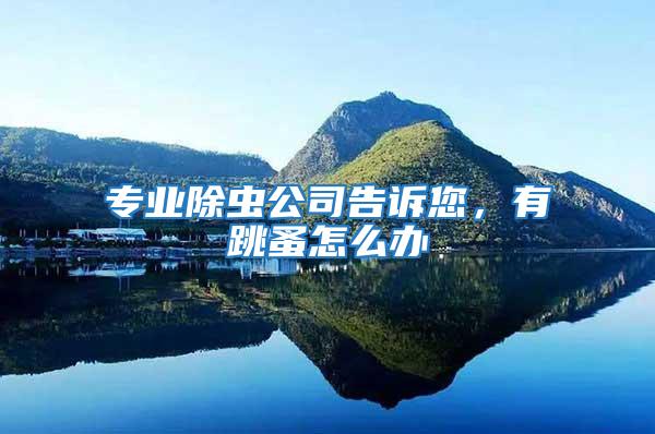 專業(yè)除蟲公司告訴您,有跳蚤怎么辦