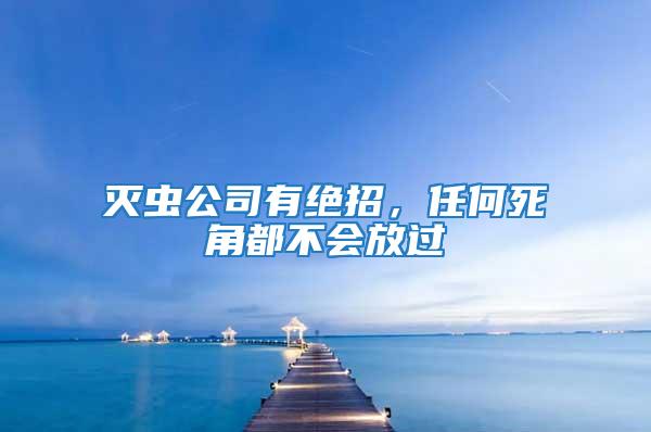 滅蟲(chóng)公司有絕招，任何死角都不會(huì)放過(guò)
