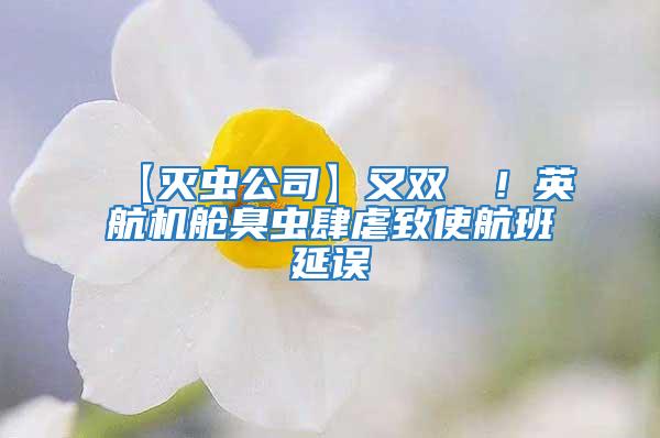 【滅蟲公司】又雙叒叕！英航機(jī)艙臭蟲肆虐致使航班延誤