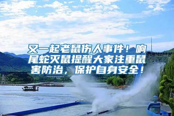 又一起老鼠傷人事件！響尾蛇滅鼠提醒大家注重鼠害防治，保護(hù)自身安全！