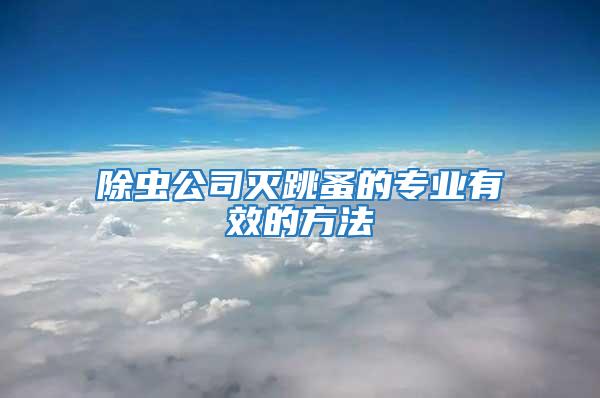 除蟲(chóng)公司滅跳蚤的專(zhuān)業(yè)有效的方法
