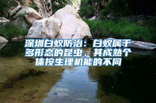 深圳白蟻防治：白蟻屬于多形態(tài)的昆蟲(chóng)，其成熟個(gè)體按生理機(jī)能的不同