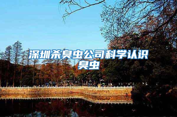 深圳殺臭蟲公司科學(xué)認(rèn)識臭蟲