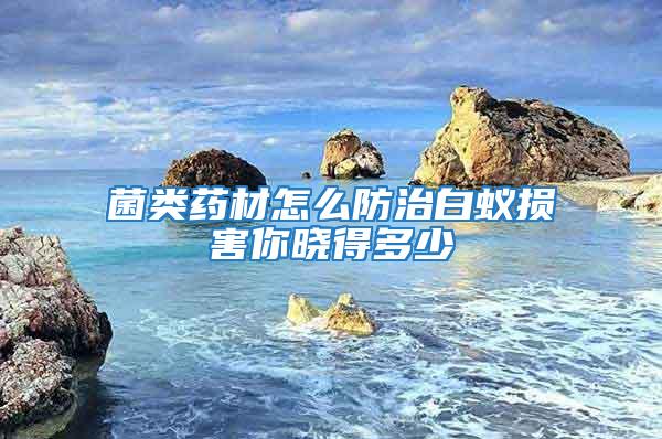 菌類(lèi)藥材怎么防治白蟻損害你曉得多少
