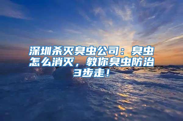 深圳殺滅臭蟲公司：臭蟲怎么消滅，教你臭蟲防治3步走！