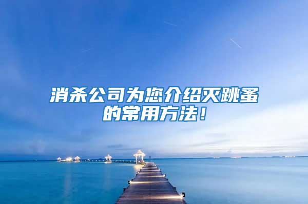 消殺公司為您介紹滅跳蚤的常用方法！