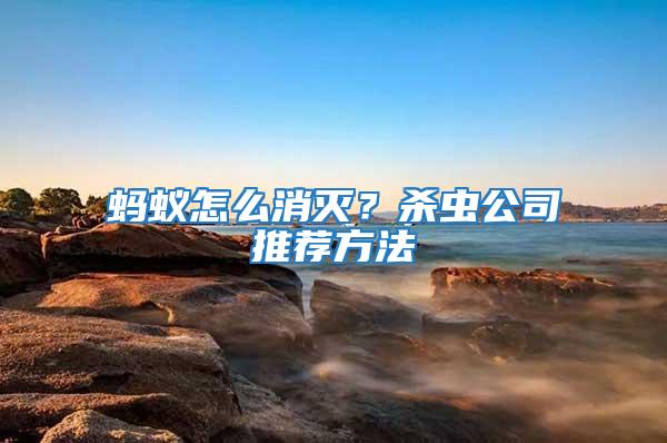 螞蟻怎么消滅？殺蟲公司推薦方法