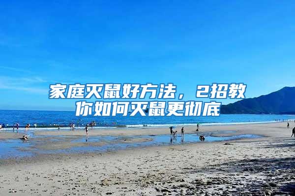 家庭滅鼠好方法，2招教你如何滅鼠更徹底