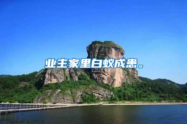 業(yè)主家里白蟻成患。