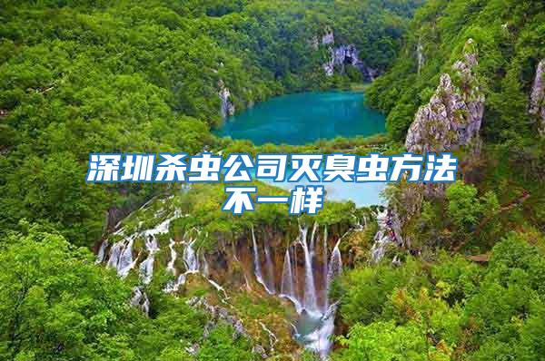 深圳殺蟲(chóng)公司滅臭蟲(chóng)方法不一樣