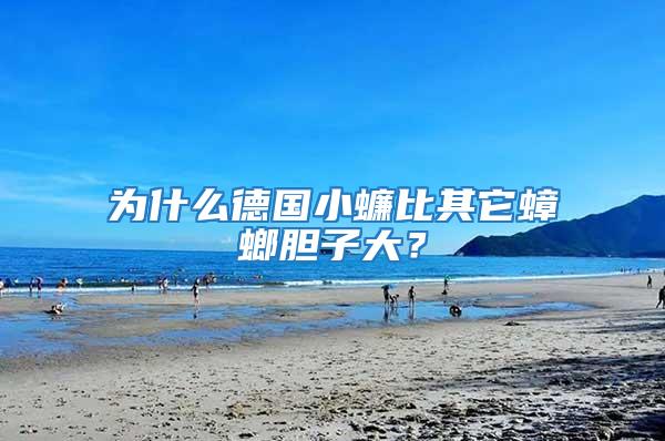 為什么德國小蠊比其它蟑螂膽子大？