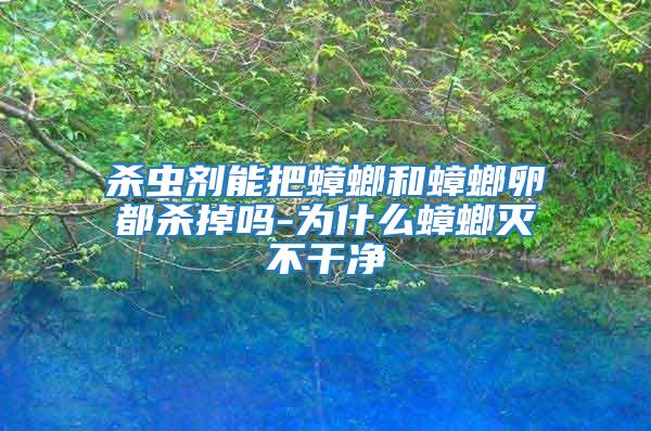 殺蟲劑能把蟑螂和蟑螂卵都?xì)⒌魡?為什么蟑螂滅不干凈