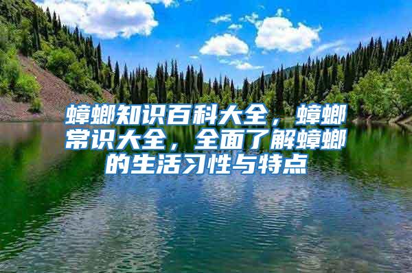 蟑螂知識百科大全，蟑螂常識大全，全面了解蟑螂的生活習性與特點