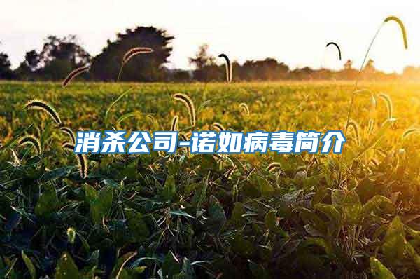 消殺公司-諾如病毒簡(jiǎn)介