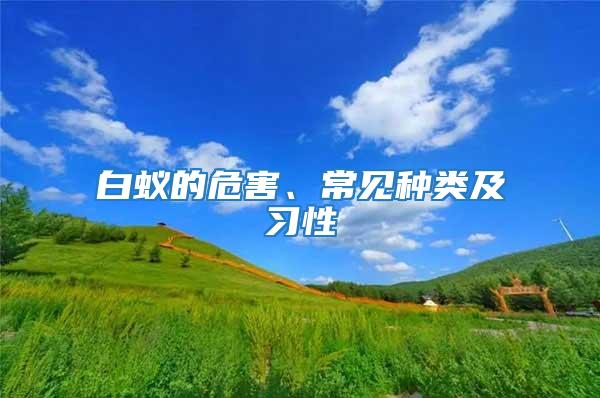 白蟻的危害、常見種類及習性