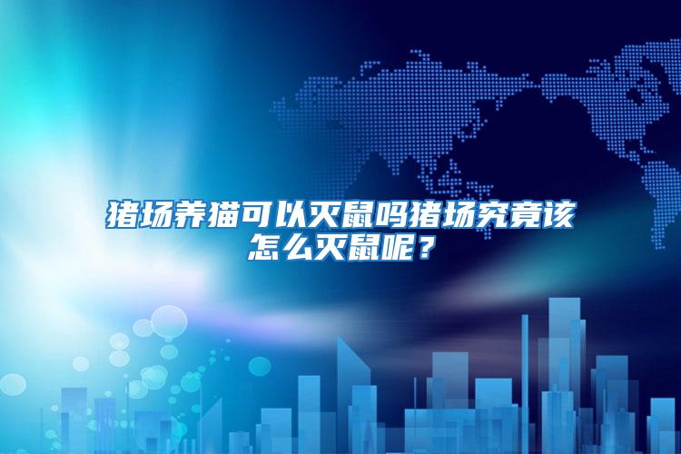 豬場養貓可以滅鼠嗎豬場究竟該怎么滅鼠呢？