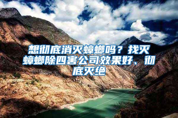 想徹底消滅蟑螂嗎？找滅蟑螂除四害公司效果好、徹底滅絕